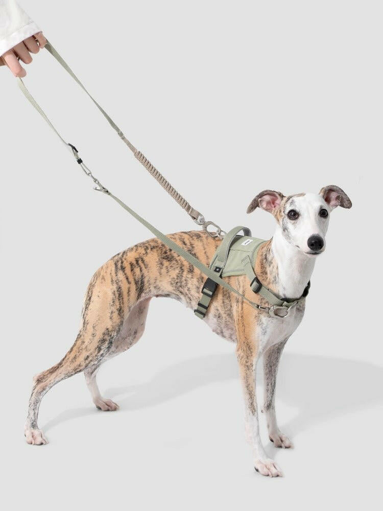 Valley Series Shock - Absorbing Dog Leash – Multi - Function & Flexible Control - Paw Charge